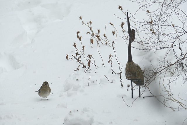 Image illustrating the verb Carrying out