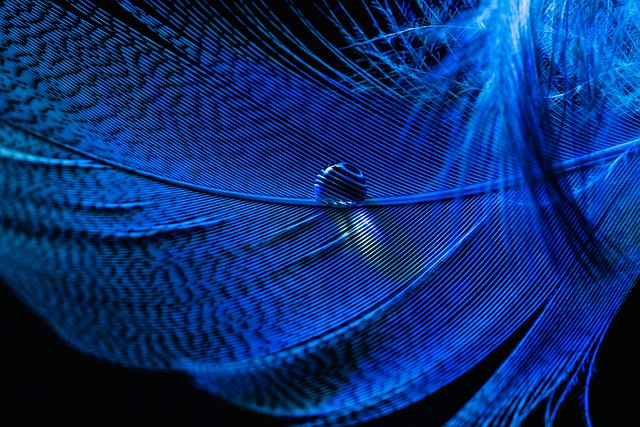 Image illustrating the verb Closing Down