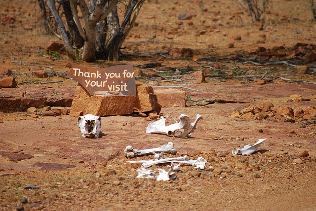 Image illustrating the verb Come Back