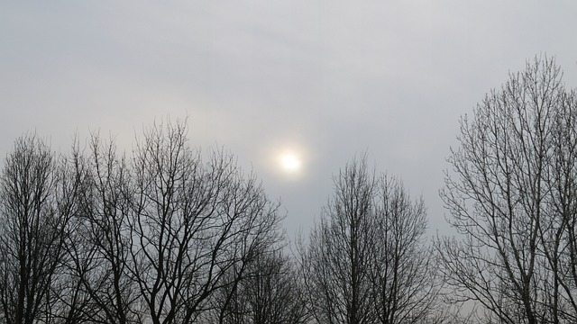 Image illustrating the verb Delving Into