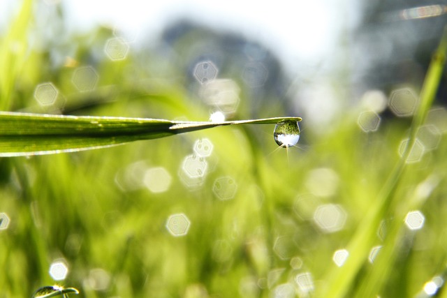 Image illustrating the verb Drop In On