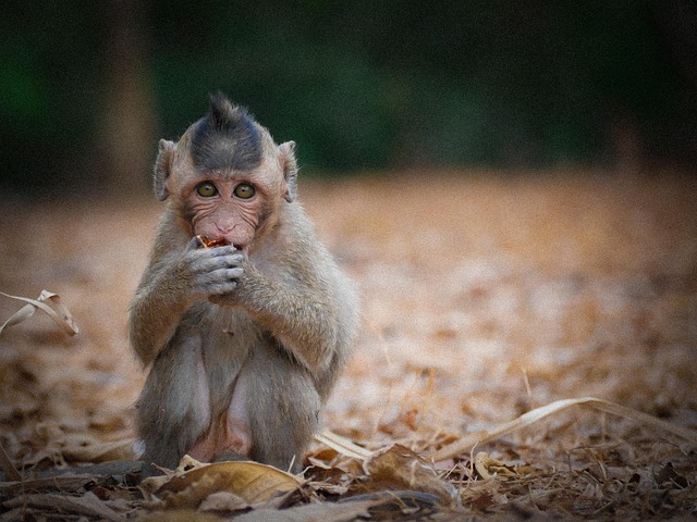 Image illustrating the verb Eating Into