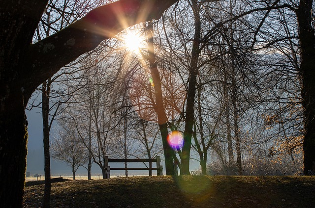 Image illustrating the verb Getting Up To