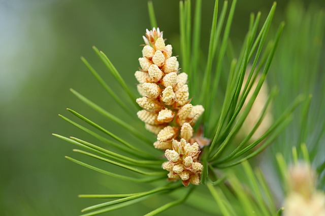 Image illustrating the verb jawing_away