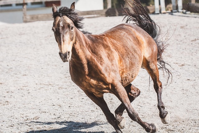 Image illustrating the verb letting off