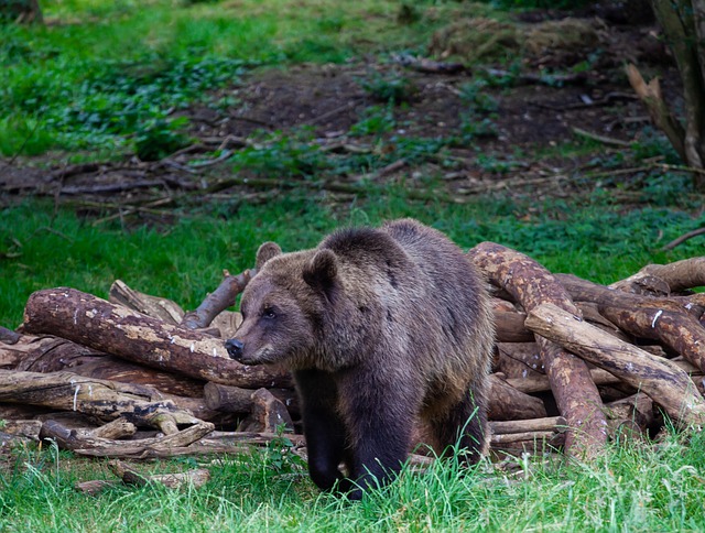 Image illustrating the verb living_through