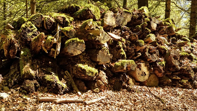 Image illustrating the verb Passing Off