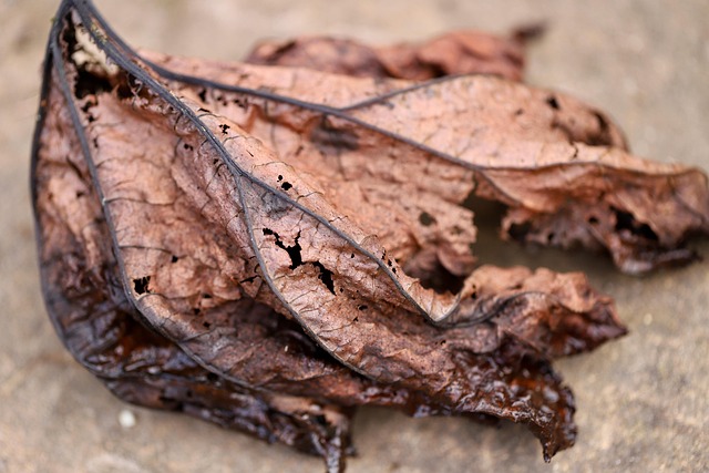 Image illustrating the verb Passing Up