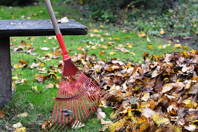 Image illustrating the verb Raking Over