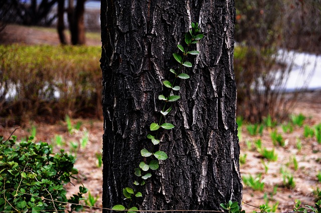 Image illustrating the verb Relying On