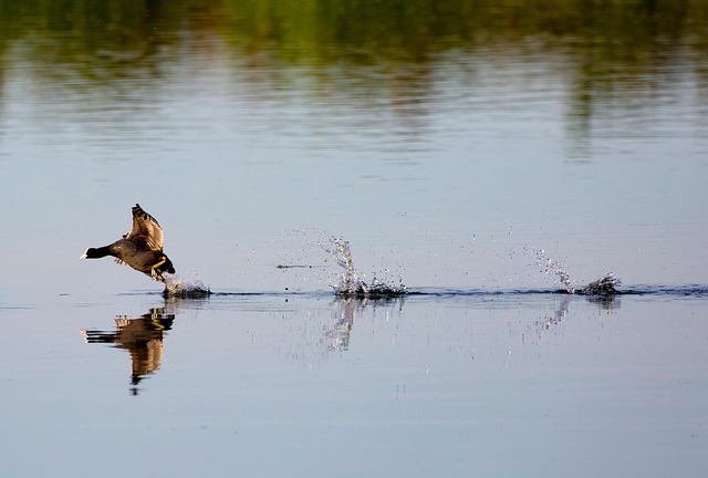 Image illustrating the verb Running on (phrasal verb)