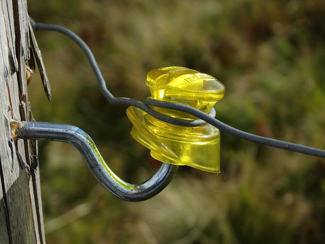 Image illustrating the verb screwing-around