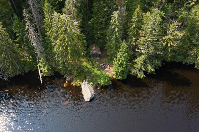 Image illustrating the verb Seeing off