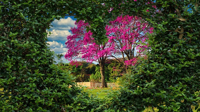 Image illustrating the verb Seeing Through