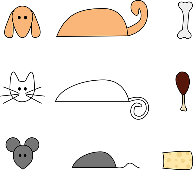 Image illustrating the verb setting out