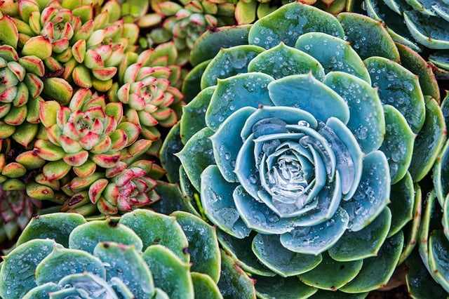 Image illustrating the verb Shining Up