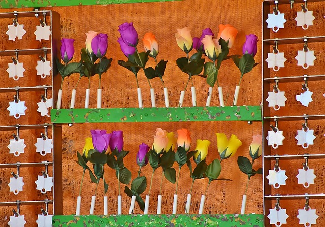 Image illustrating the verb Shooting Down